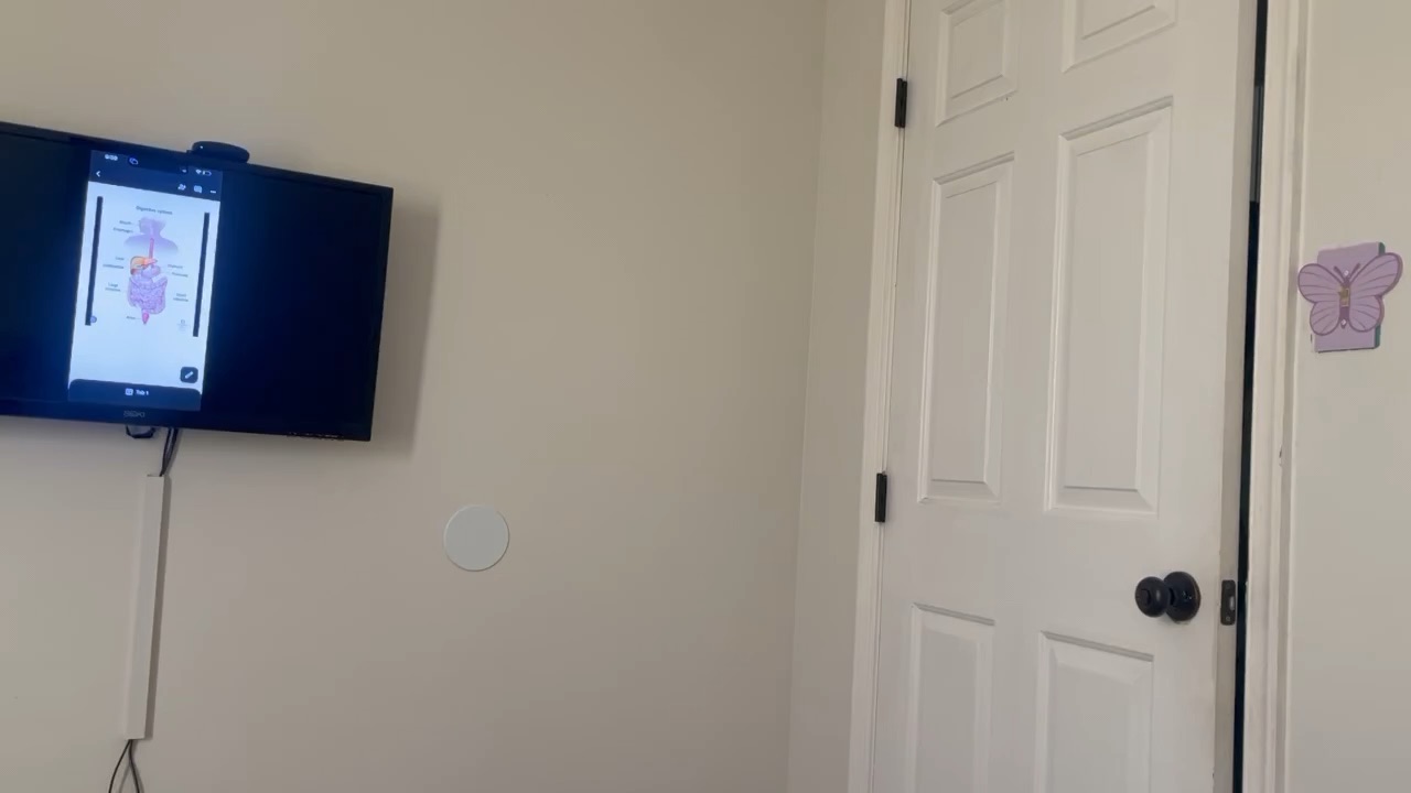 School project