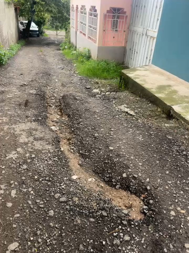 Arte