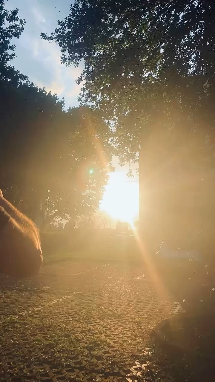 Hi