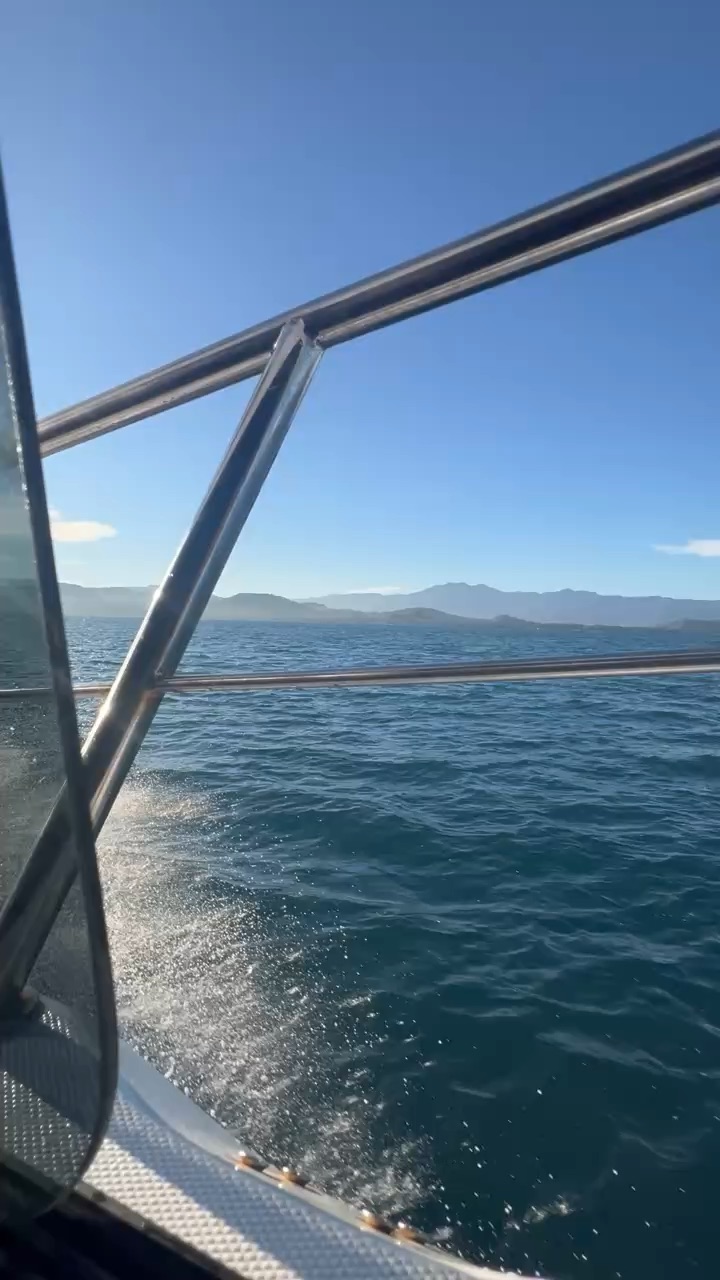 Bali Blue