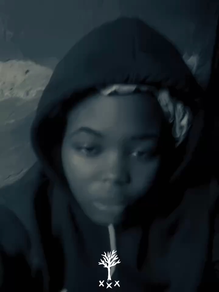CapCut