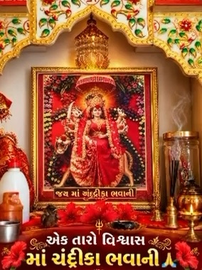 #maa