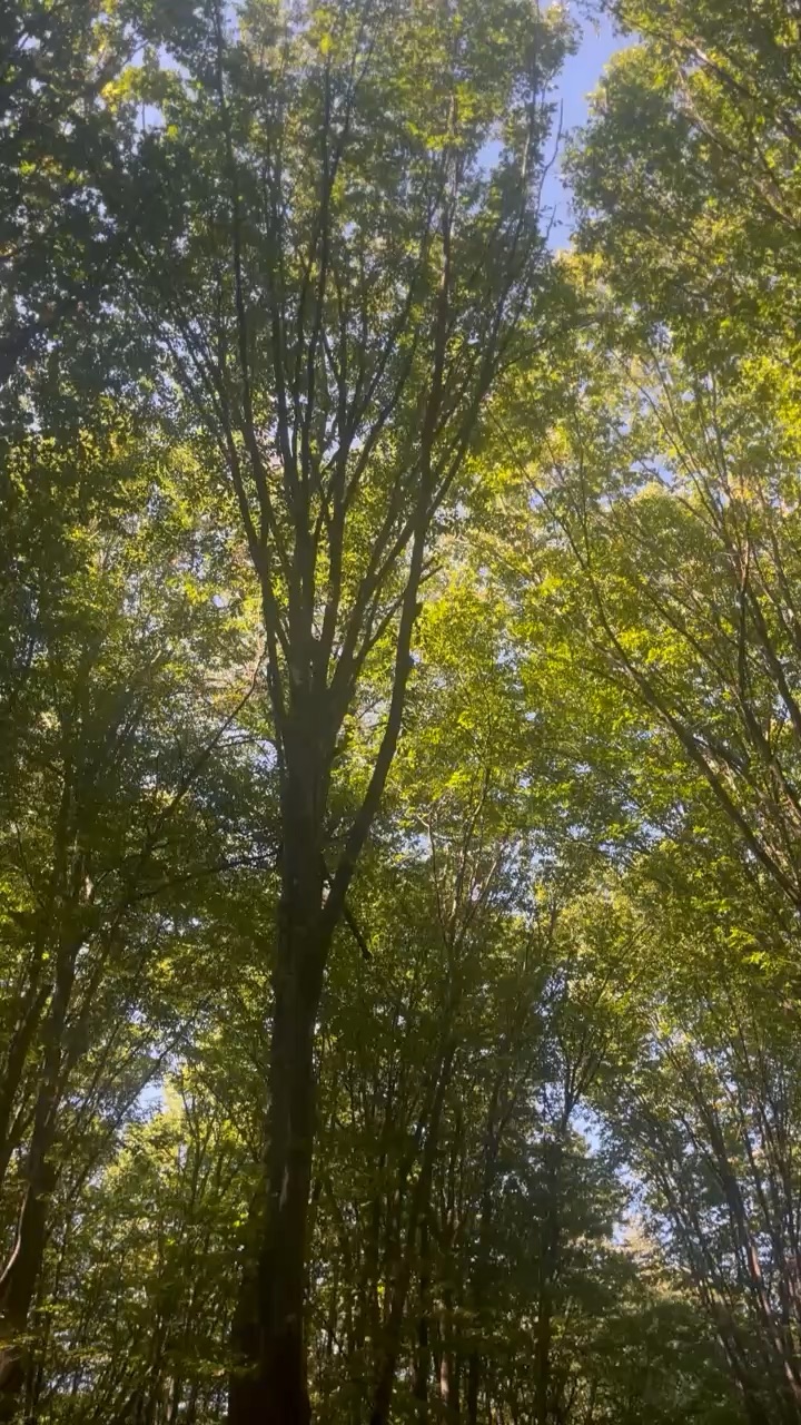 Nature