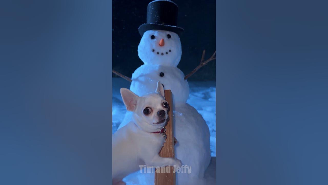 The Owner Makes Jeffy Get Firewood Outside 🥶❄️⛄ Jeffy the chihuahua and tim is relaxing inside a warm igloo when the...