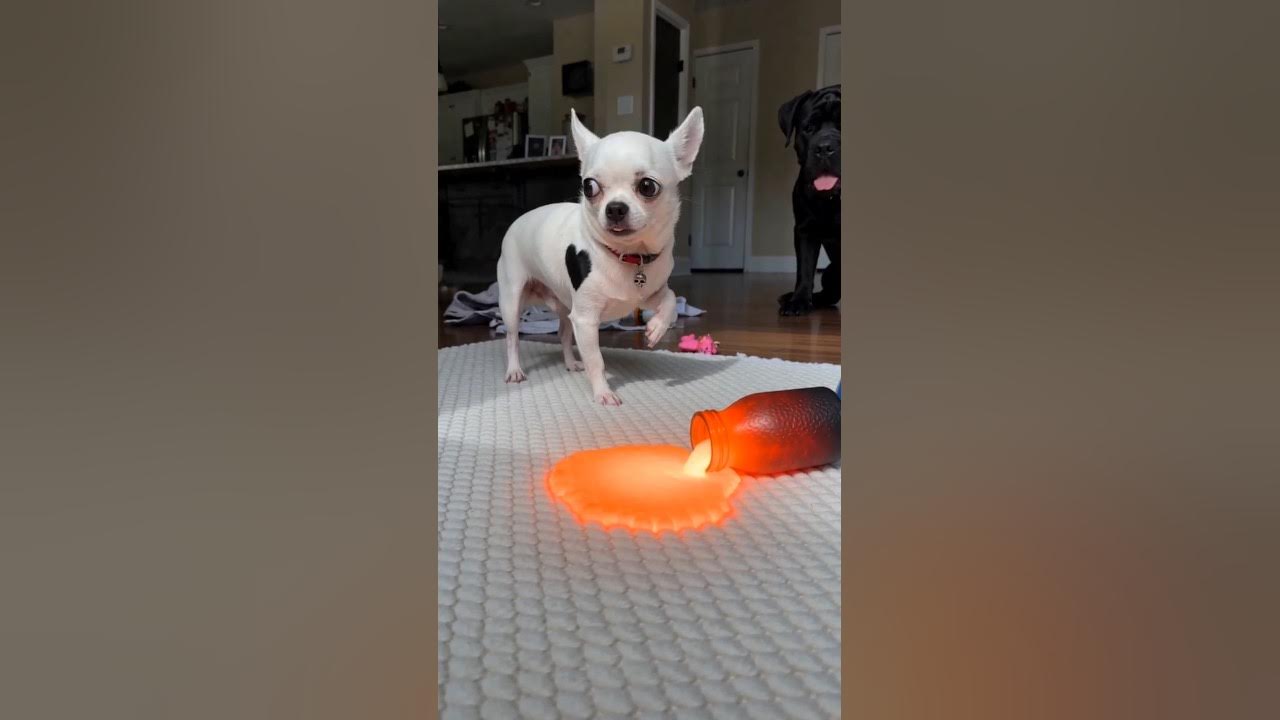 Indoor Lava at Home🌋
