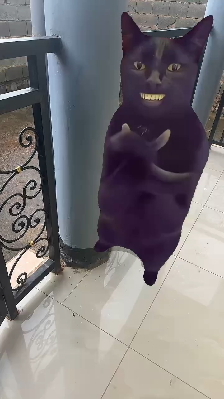 Clapping cat