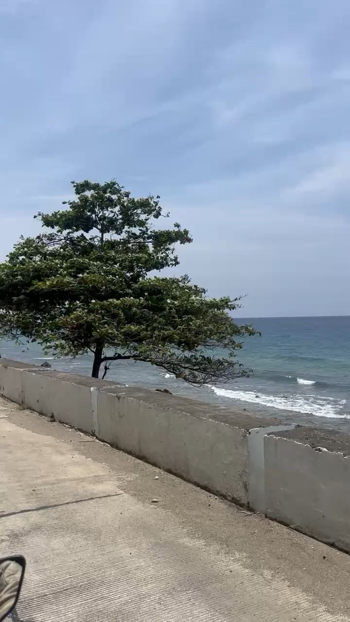 bohol