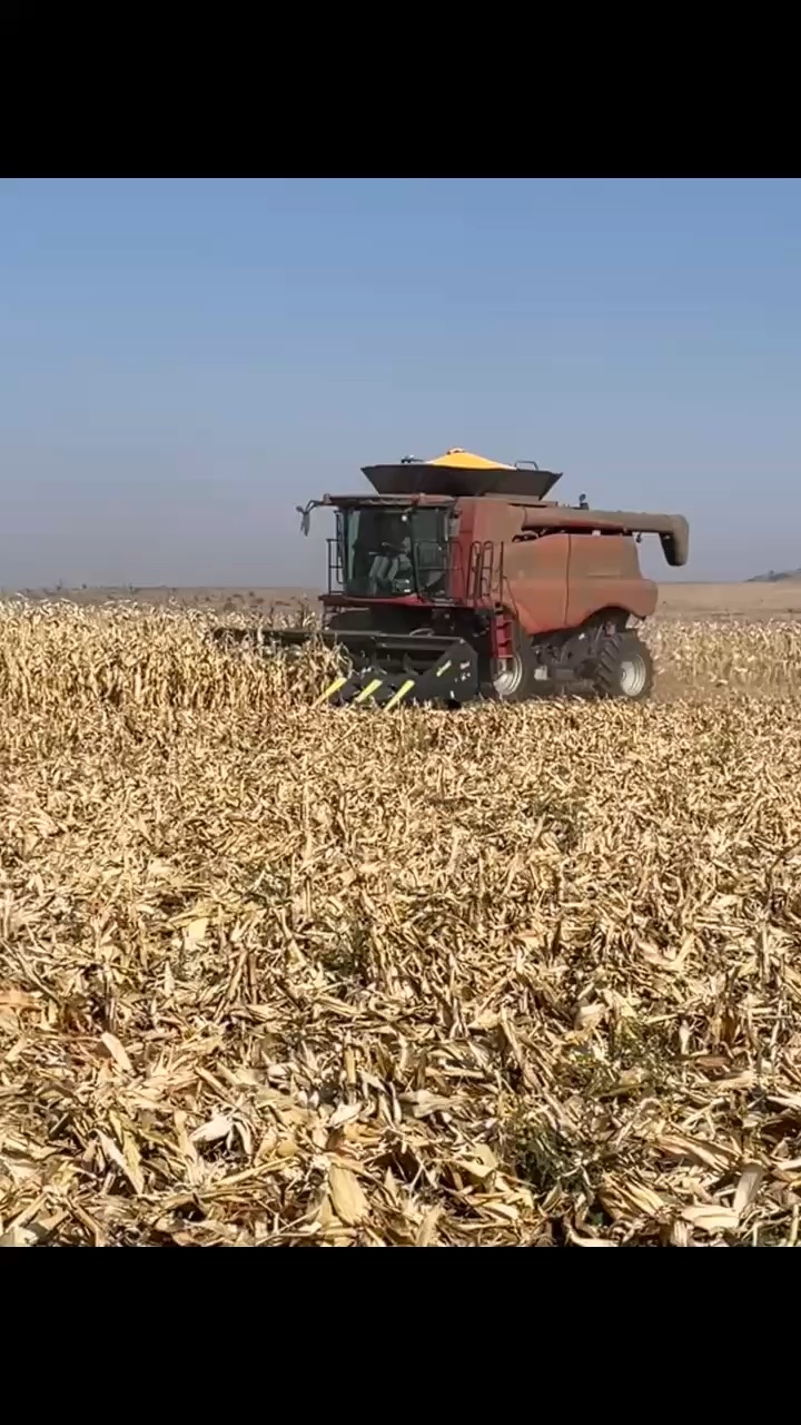 Agricultural video
