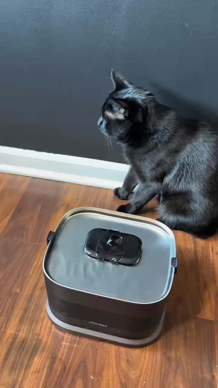 Pet Libro Sample vid
