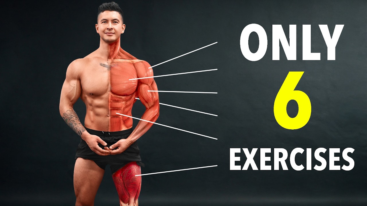 The #1 Full Body Routine to Build Muscle & Lose Fat If you want to build every major muscle with just 6 exercises, a...