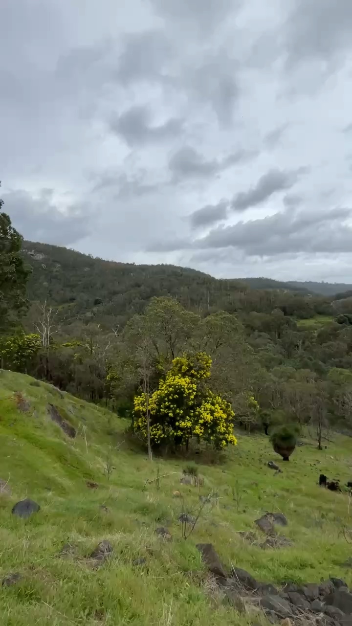 Nature.