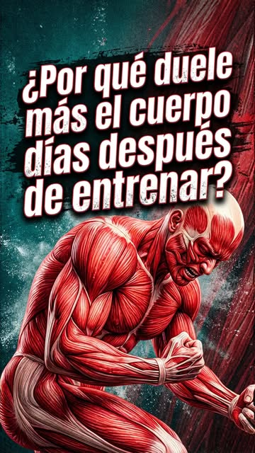 ¿Te duele más el cuerpo dos días después de entrenar? 💥💪 No es ácido láctico y probablemente nadie te lo explicó as...