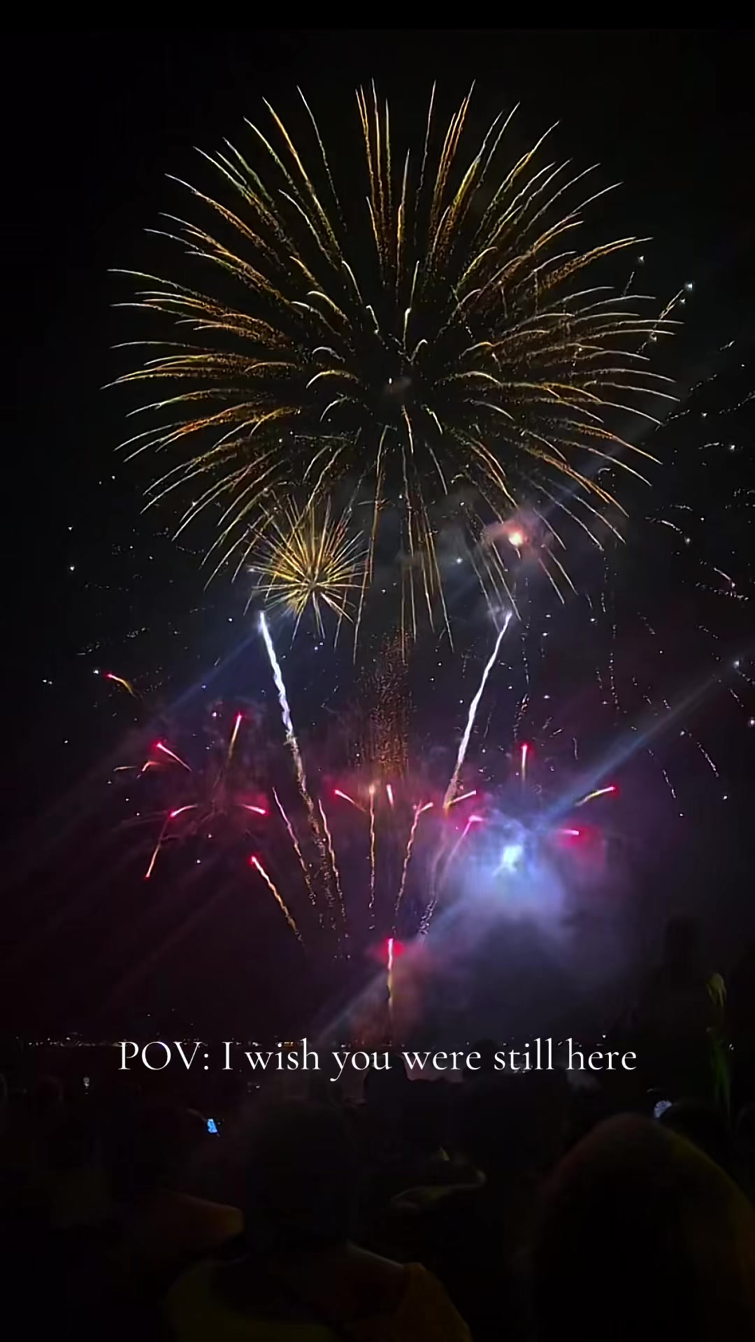 Some memories are like fireworks—beautiful, bright, and gone too soon.🥺❤️.