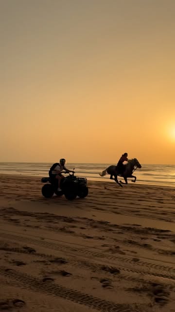 A wild sunset ride and a sandy adventure in #essaouira ✨ : : : #essaouira_mogador #horseride #bucketlistmoment #lifei...
