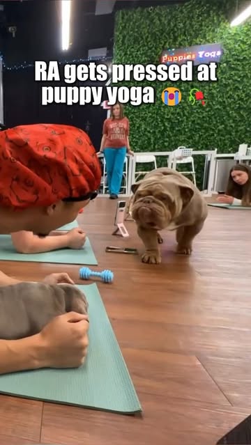 He thought it was over for him 😭🥀✌🏽 This video is exclusively licensed by JustViral. For licensing and usage, emai...