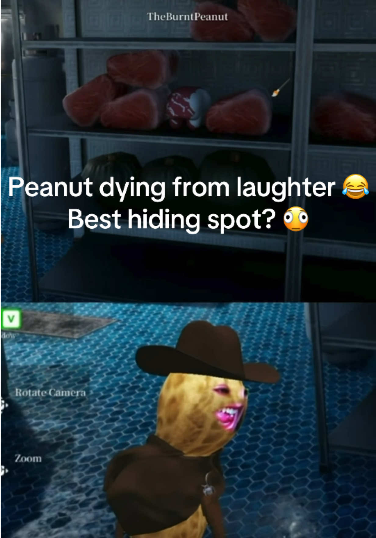 Peanut had the best hiding spot? 😂 #theburntpeanut #new