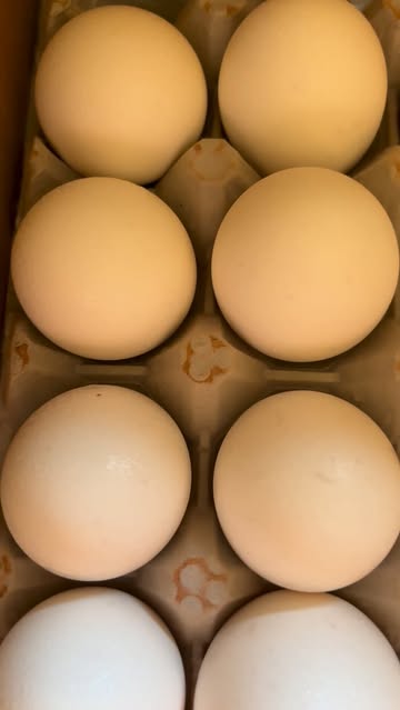 POV: you’re the one bringing the deviled eggs to every family gathering 😮‍💨🥚✨ Creamy, tangy, and topped with a lit...