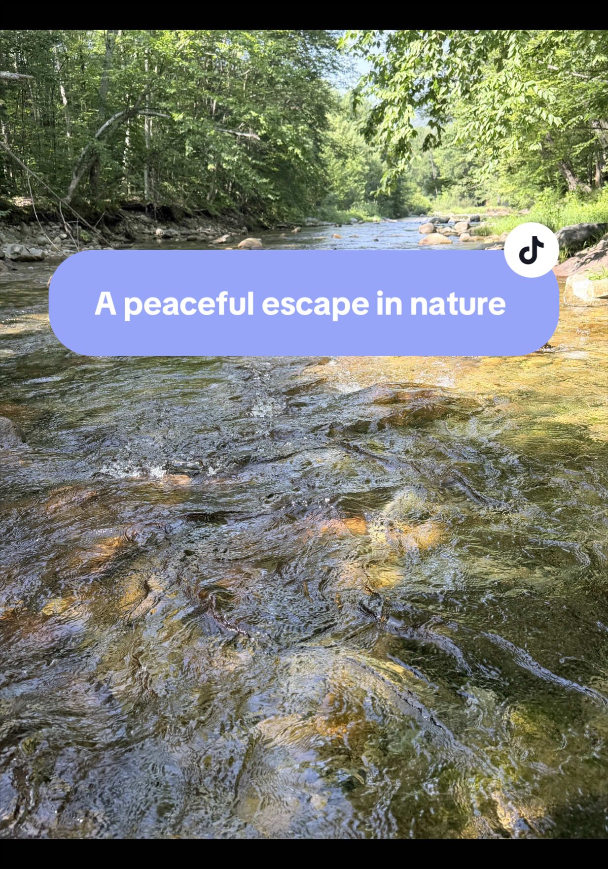 POV: You discovered a place that makes you want to slow down. 🌿🤍 A little glimpse into my experience at @Lumen Natu...