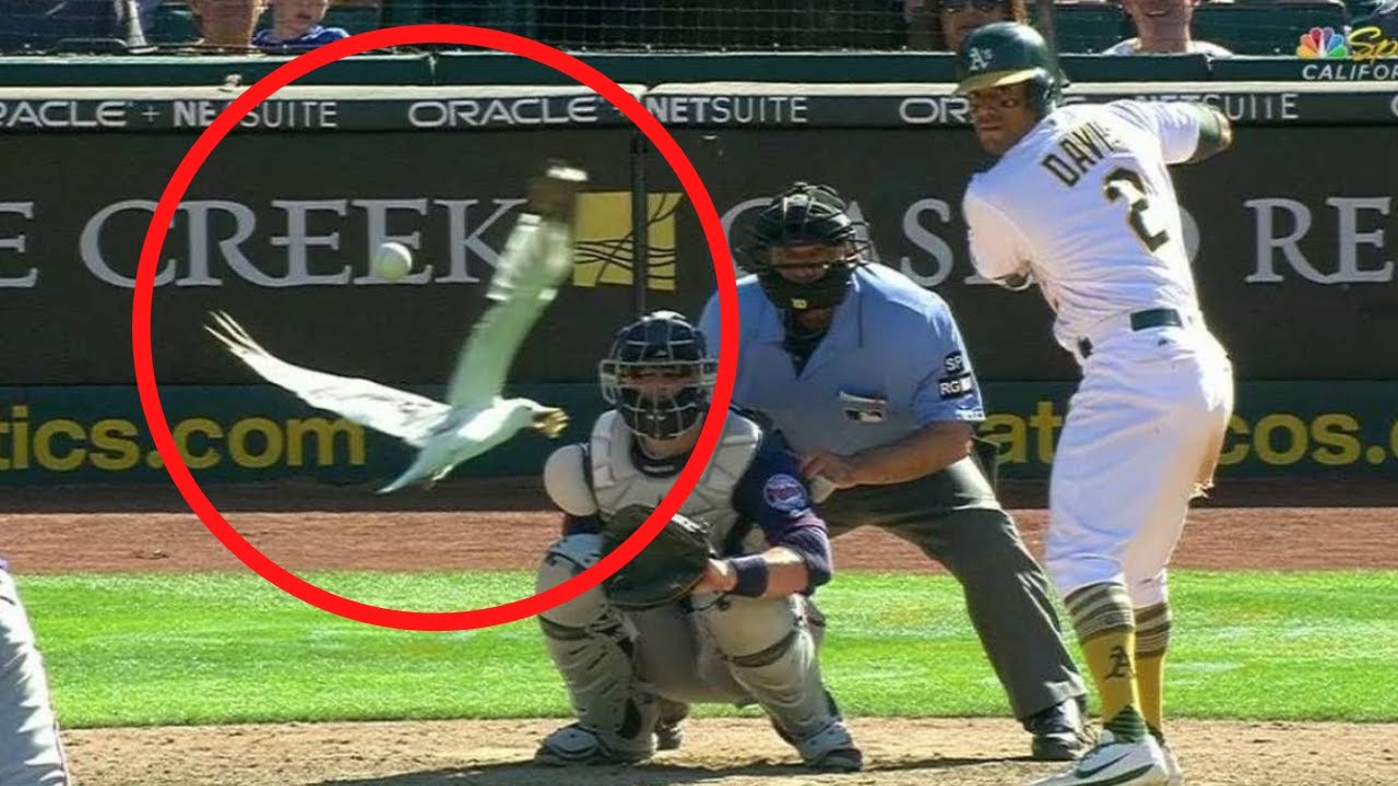 Craziest "1 in a Trillion" Moments in Sports History Craziest "1 in a Trillion" Moments in Sports History BIBLE VERSE...