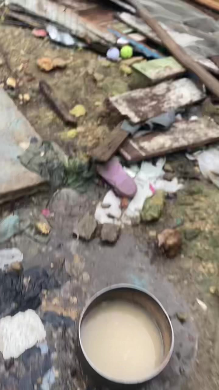 Encontré este pollisto casi ahogado
