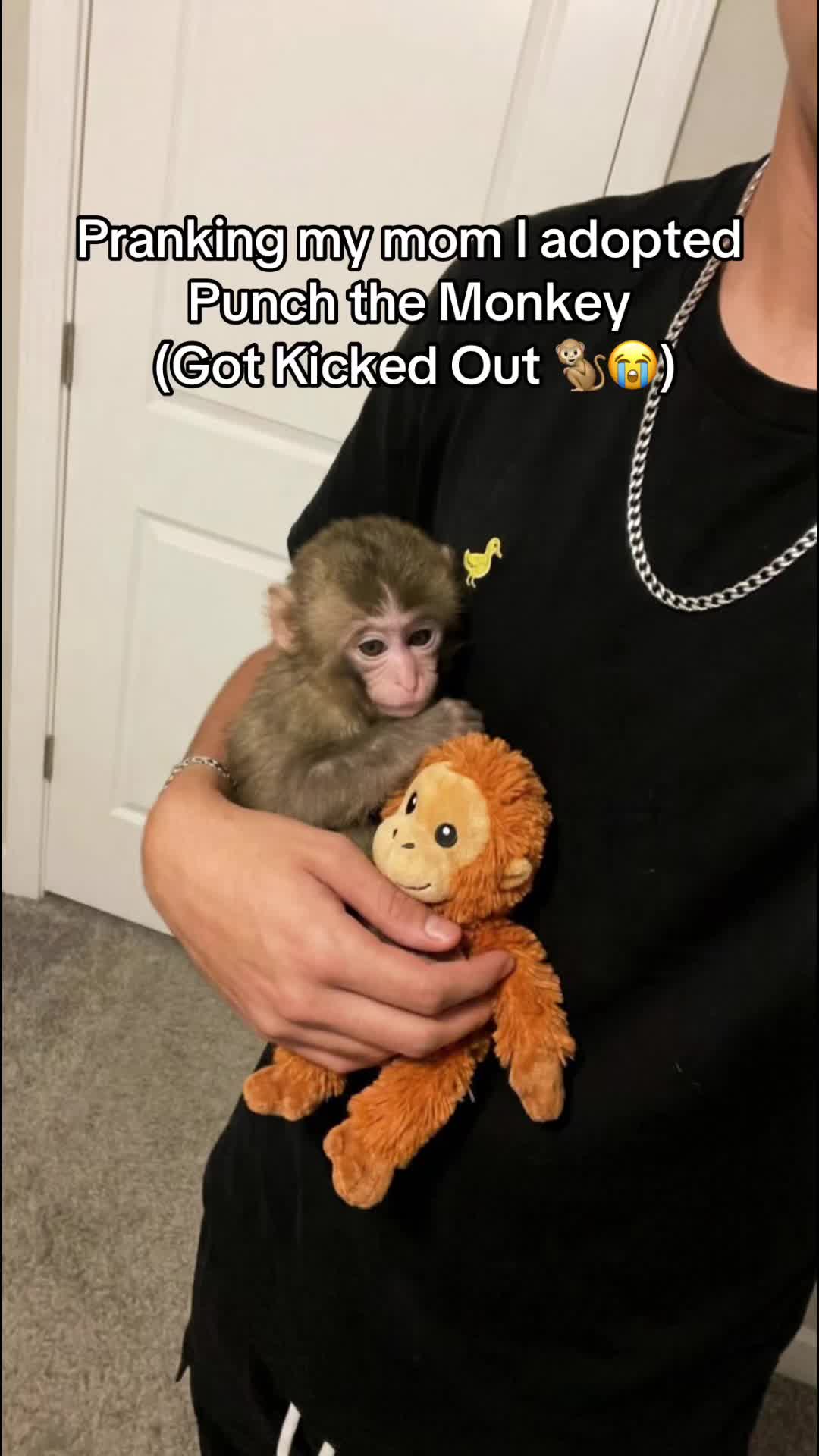 Well I guess WE will figure it out then 🙄 #prank #punchthemonkey #monkey #mom #zoo