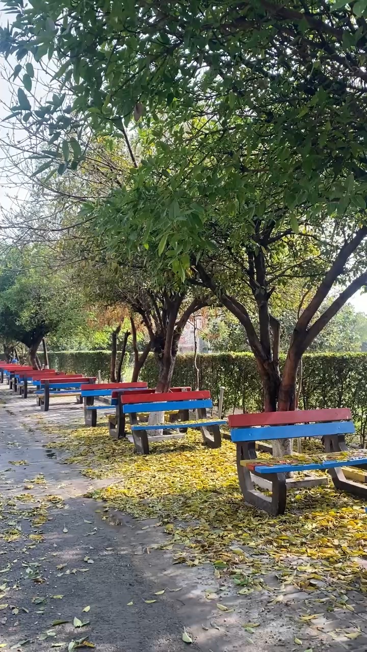 Autumn start ✨🫂Beautiful view