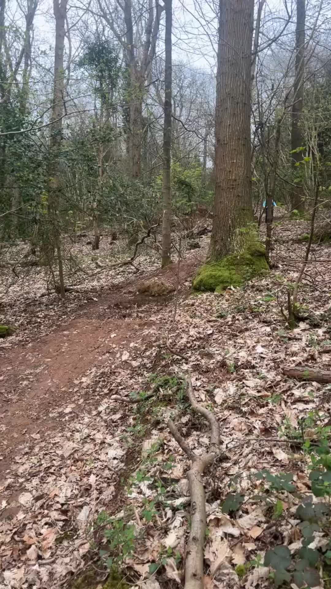 #blowup #fypppppppppppppp #mtb #crash #bike