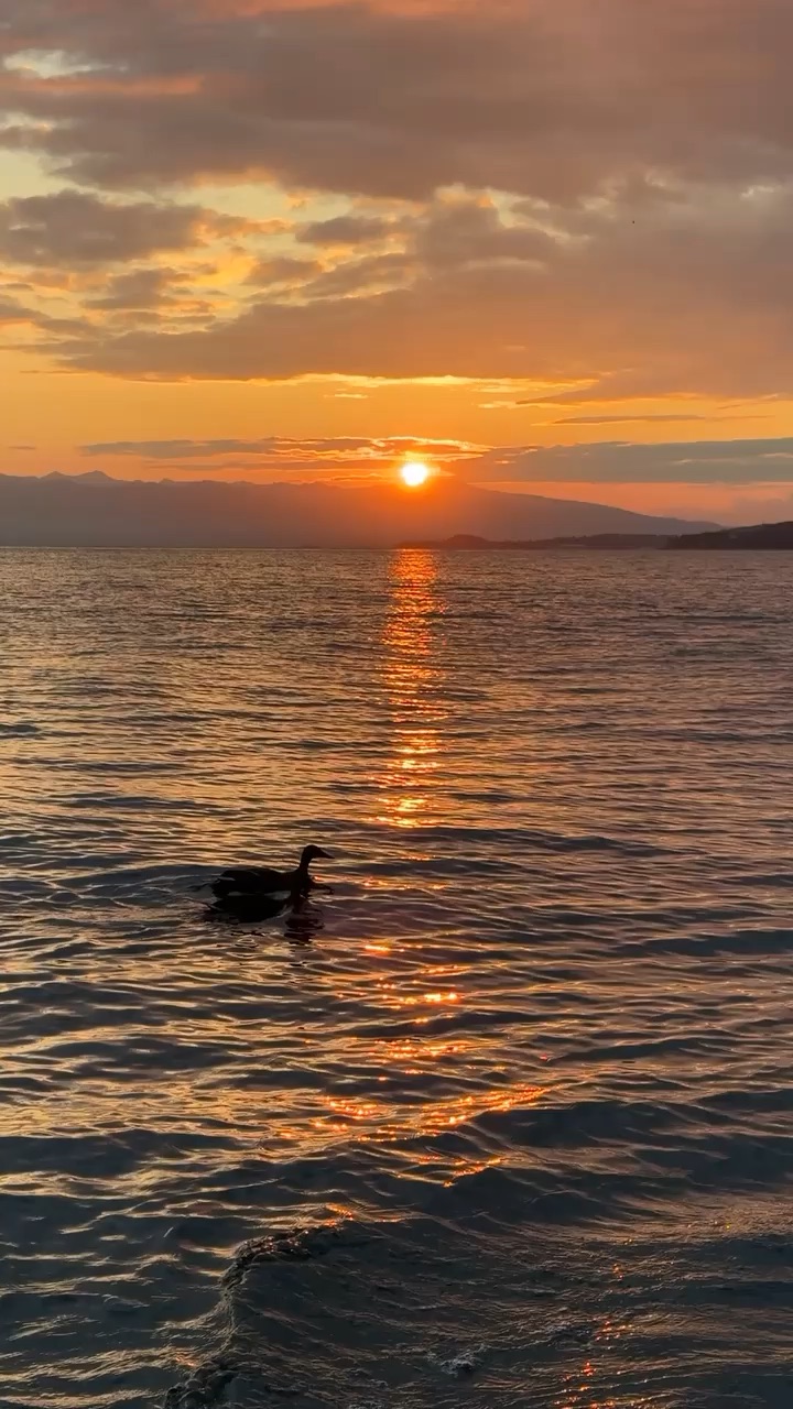 Magical sunset