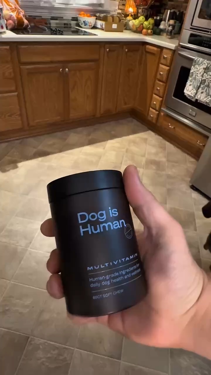 Dog is Human
