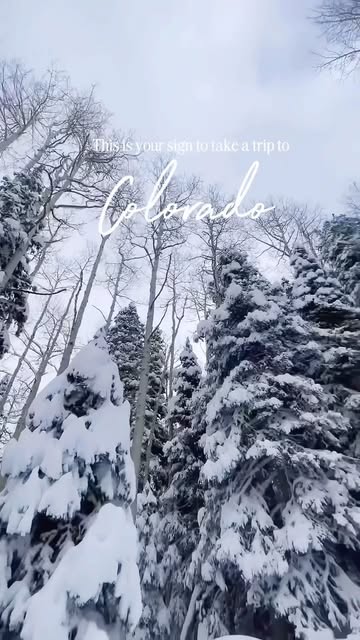 Winter in Colorado is pure magic🎿❄️ #travelwithme #travelblogger #colorado #aspen #vailcolorado