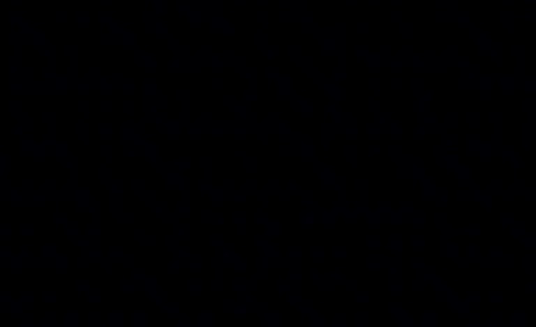 Dustin Martin highlights