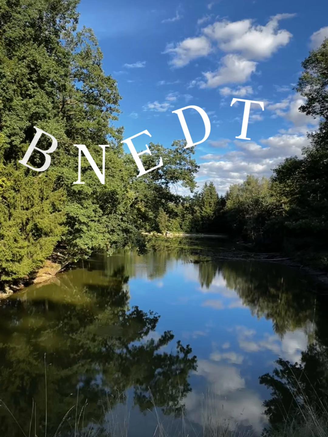 Another own edit Not Bad i think#viral #foryoupage #fy #blowthisuptiktok #dog