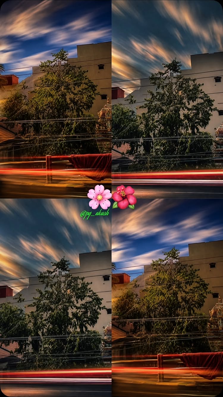 Beauty 🌸🌺🥰.... @photographer_2 #explore #fyp #trending #viral #reels