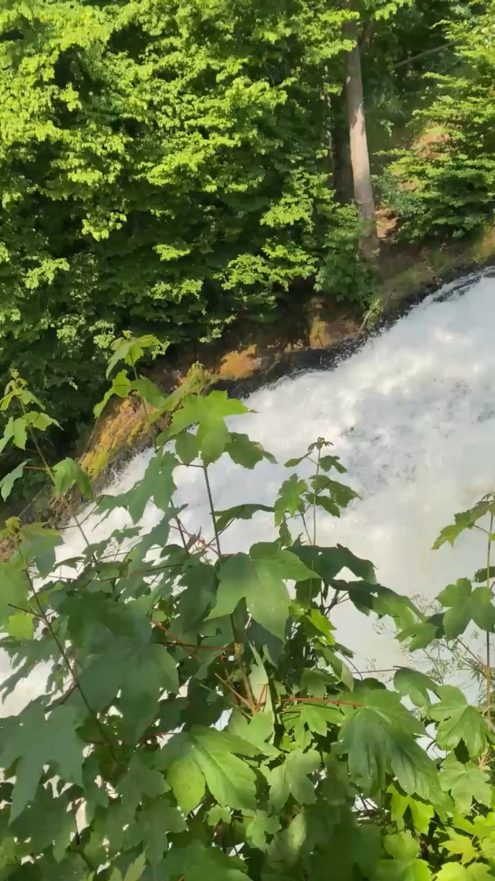 Love nature 😍😍