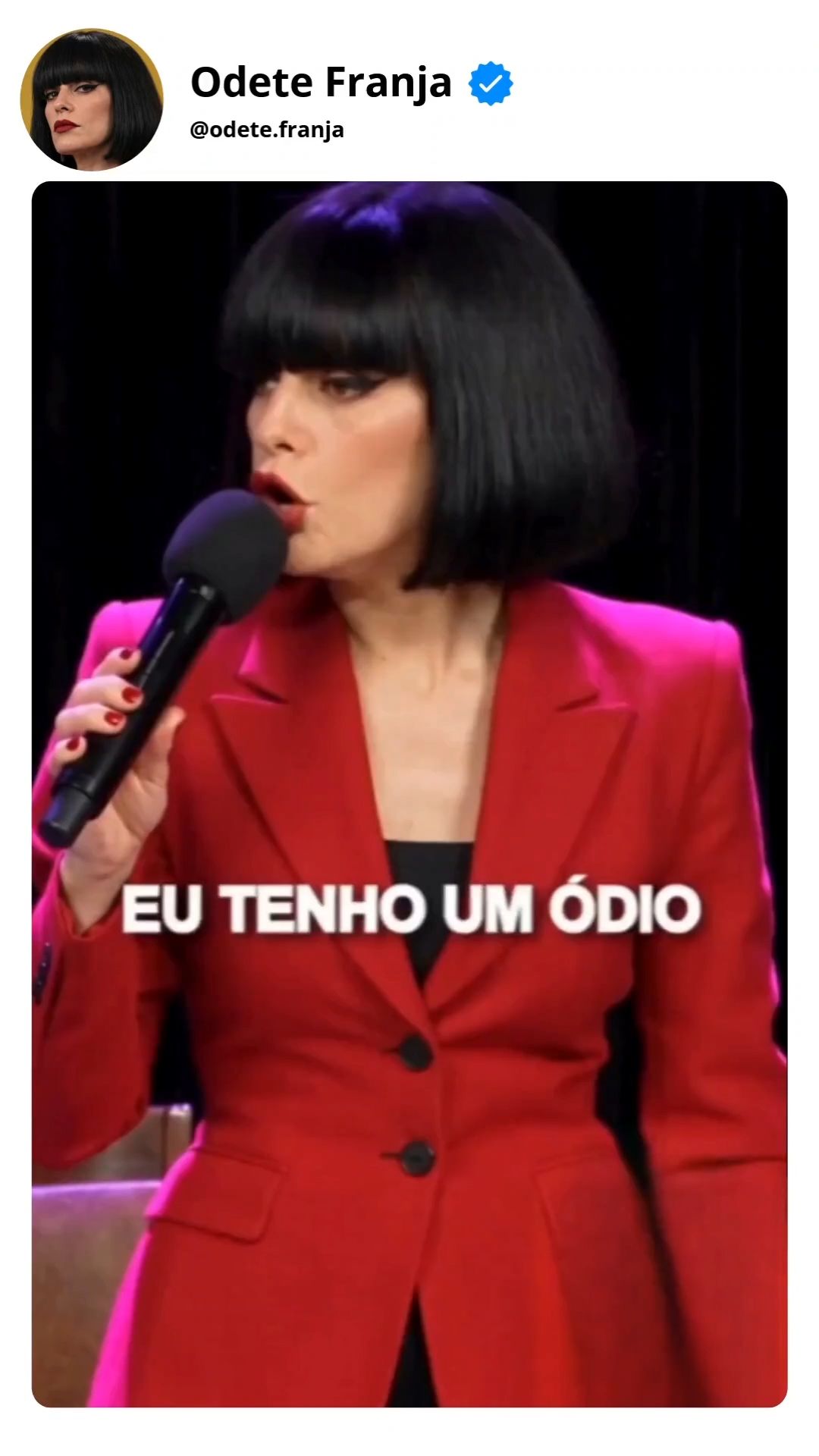 Show de Stand Up
