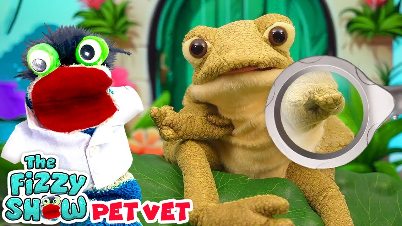 Fizzy The Pet Vet Gives A Check Up To His Animal Friends | Fun Videos For Kids When Fizzy and Phoebe decide to sing i...
