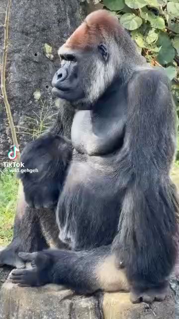 1000051537