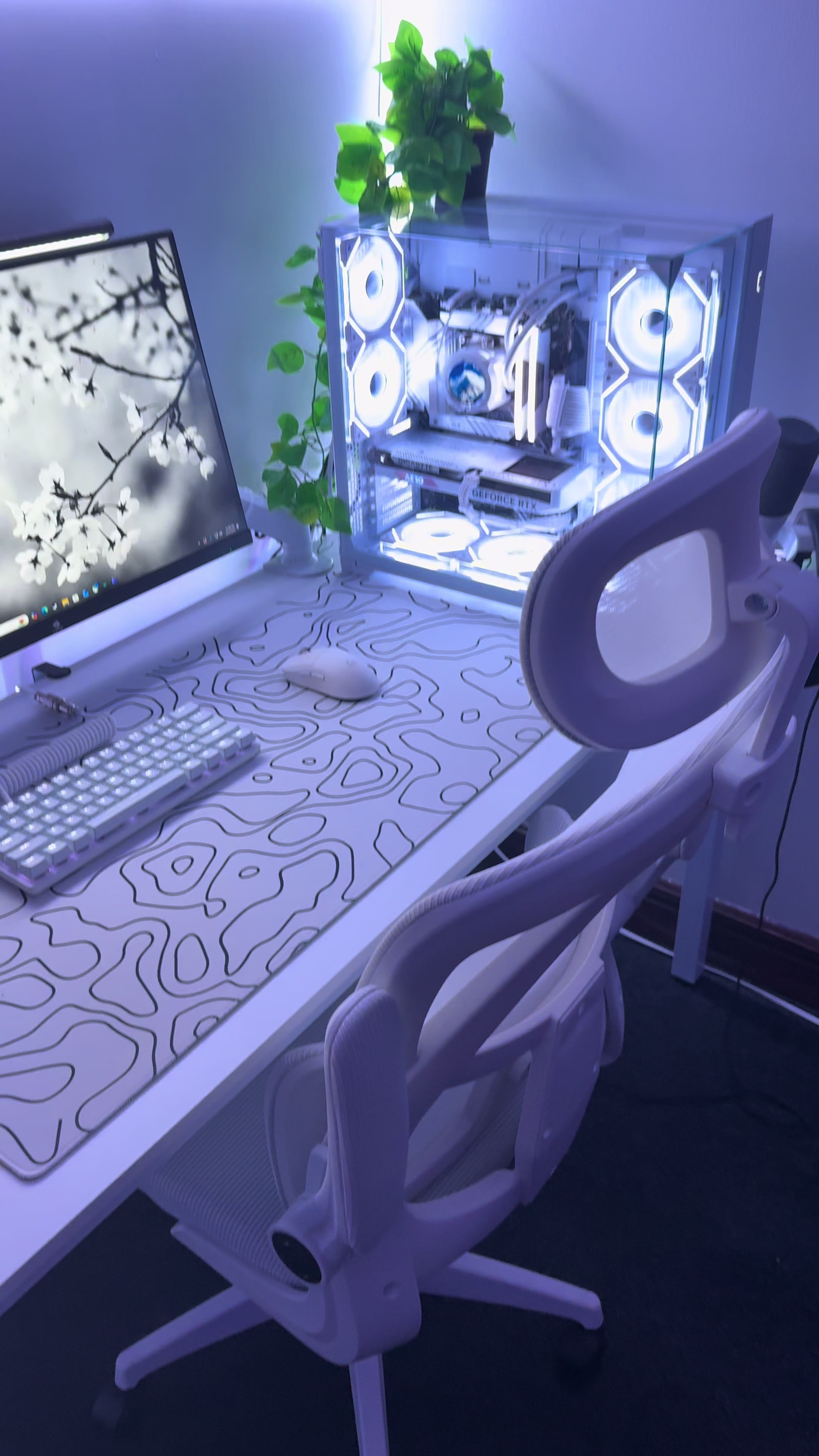 White setups🤍🤩#gamingsetup #fyp #techtok #whitesetup #viral