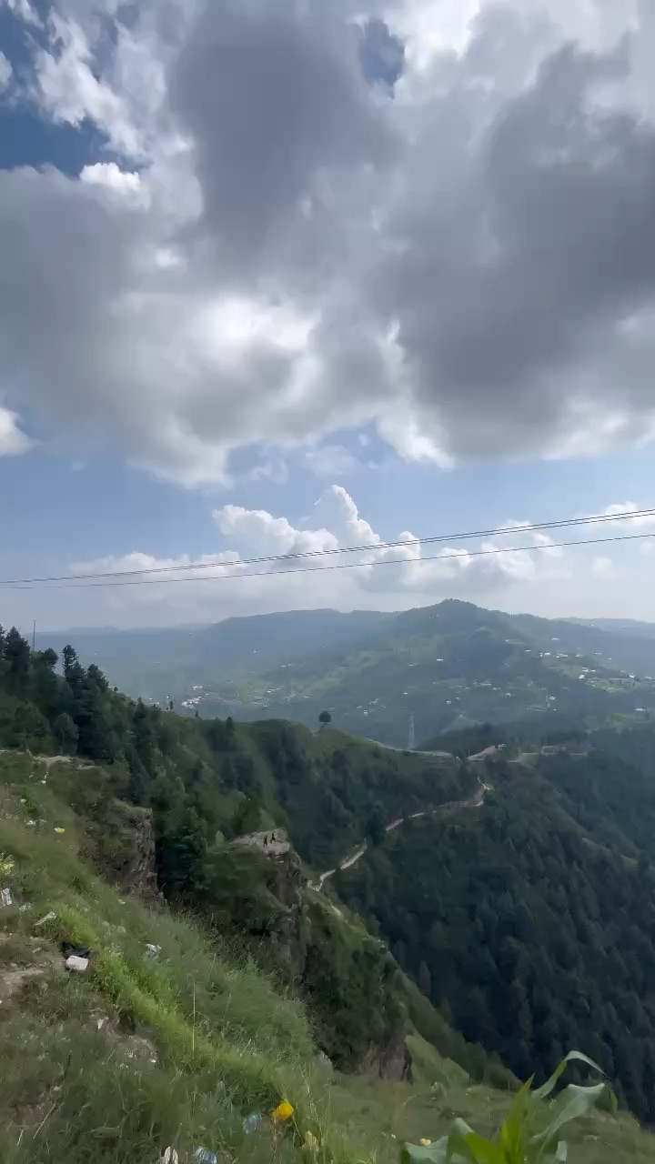 View