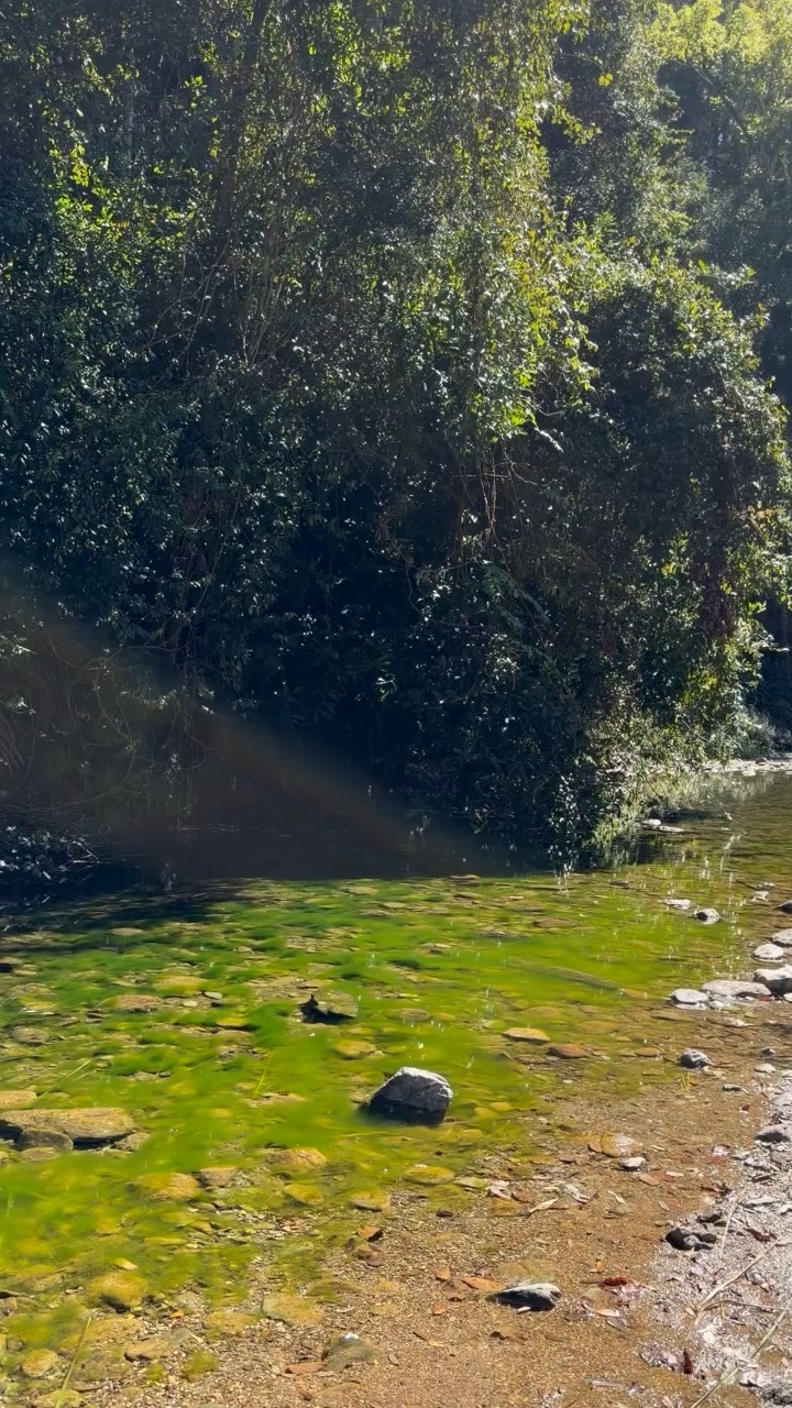 Explore my life!