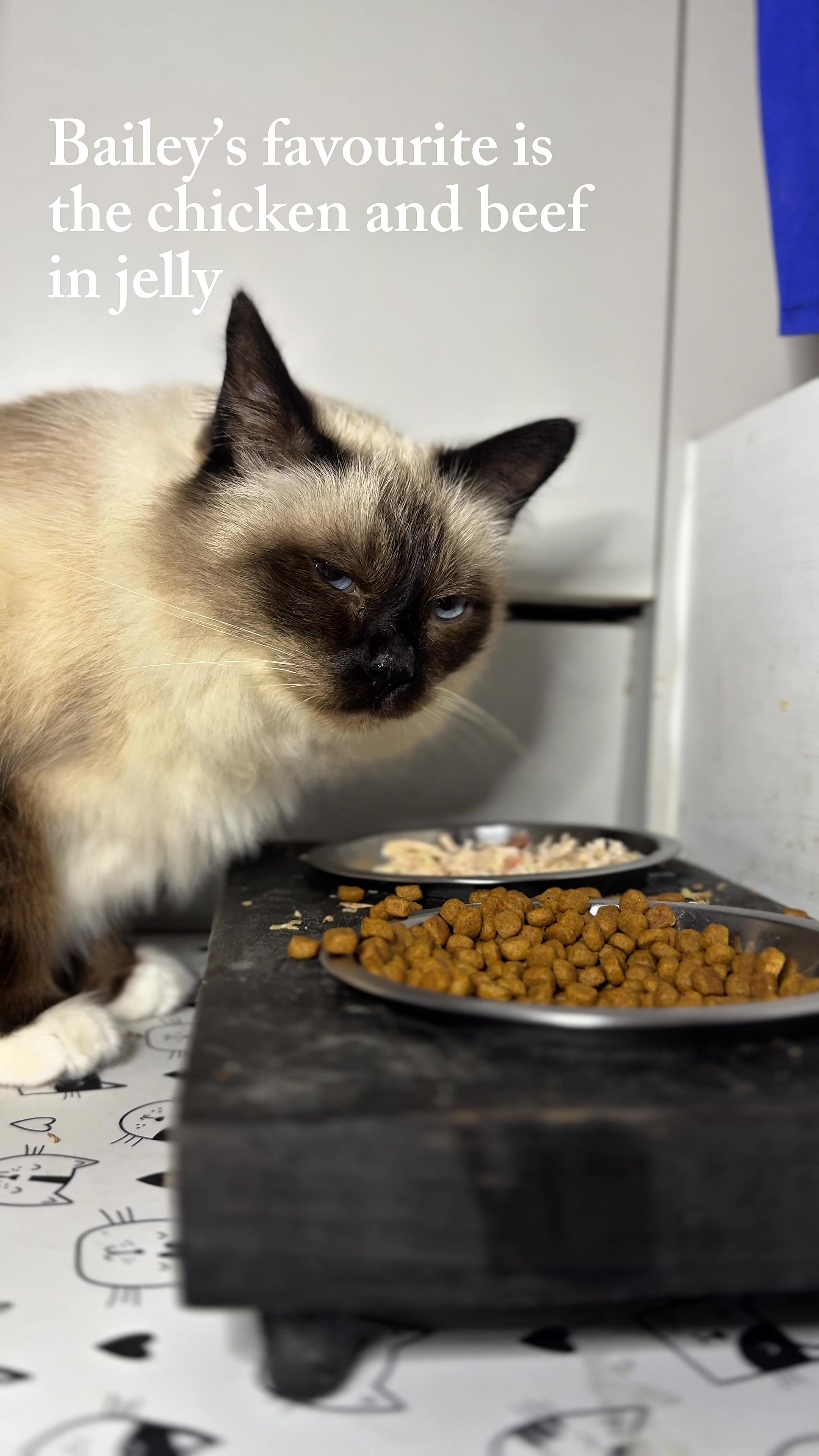 My favourite part of my morning routine, and theirs of course AD @Untamed Cat Food @socialtiphq #catlover #catfoodtip...