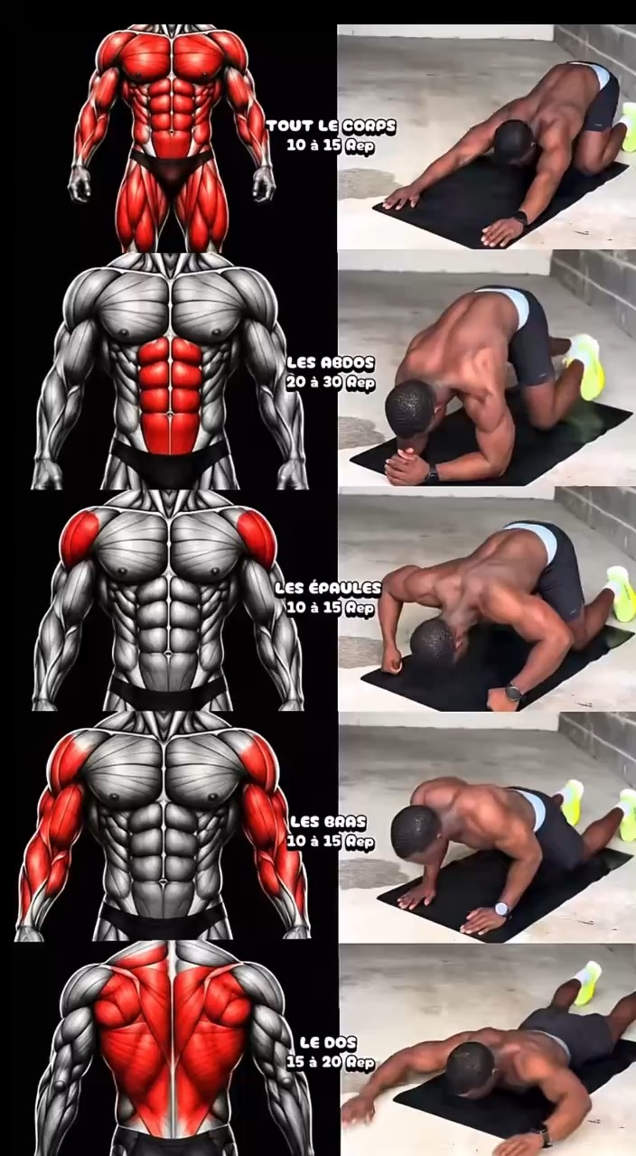 La musculation