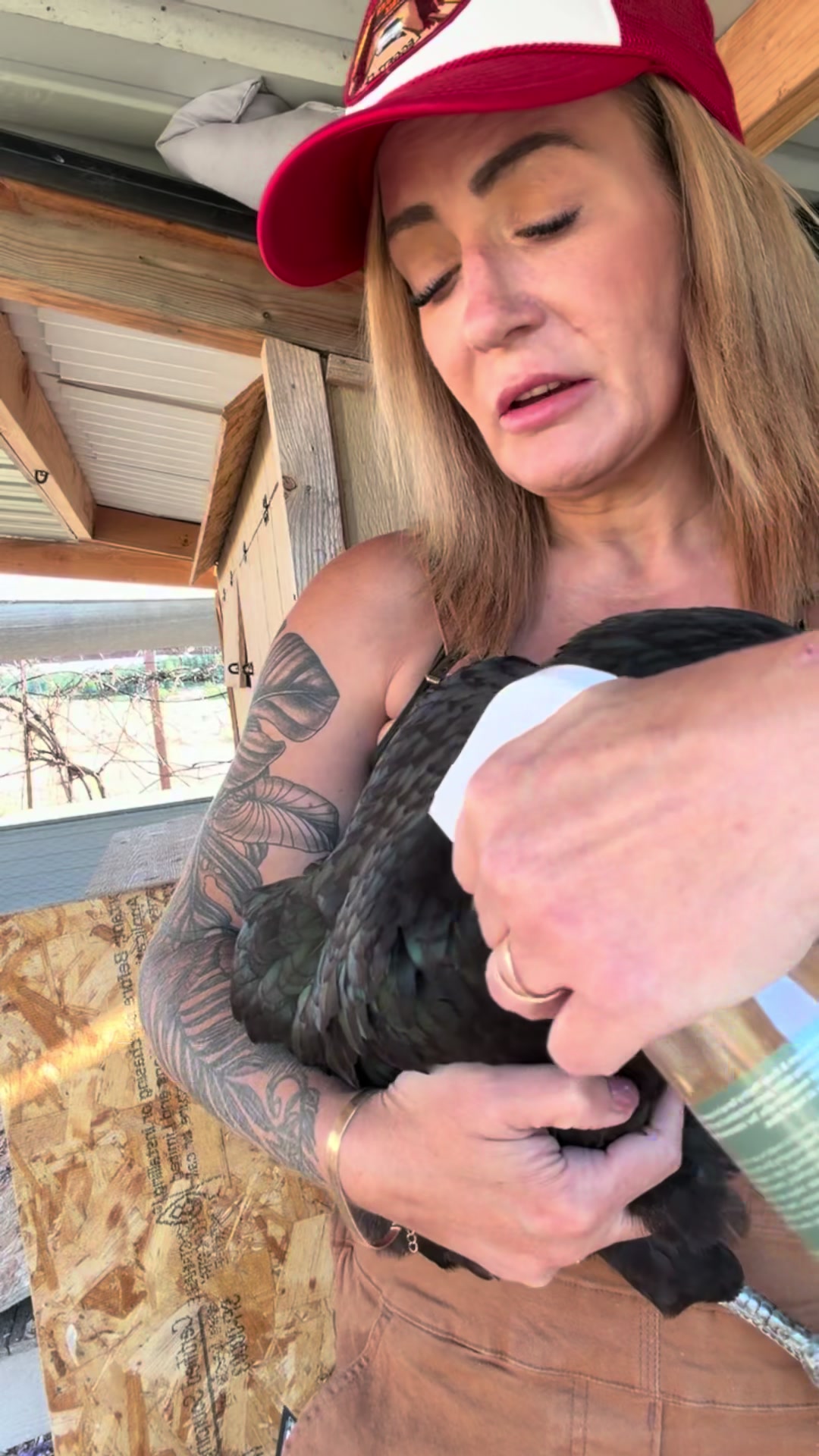 For anyone that has chickens keeping them healthy, bug free and their coop clean can be a challenge. I found a natura...