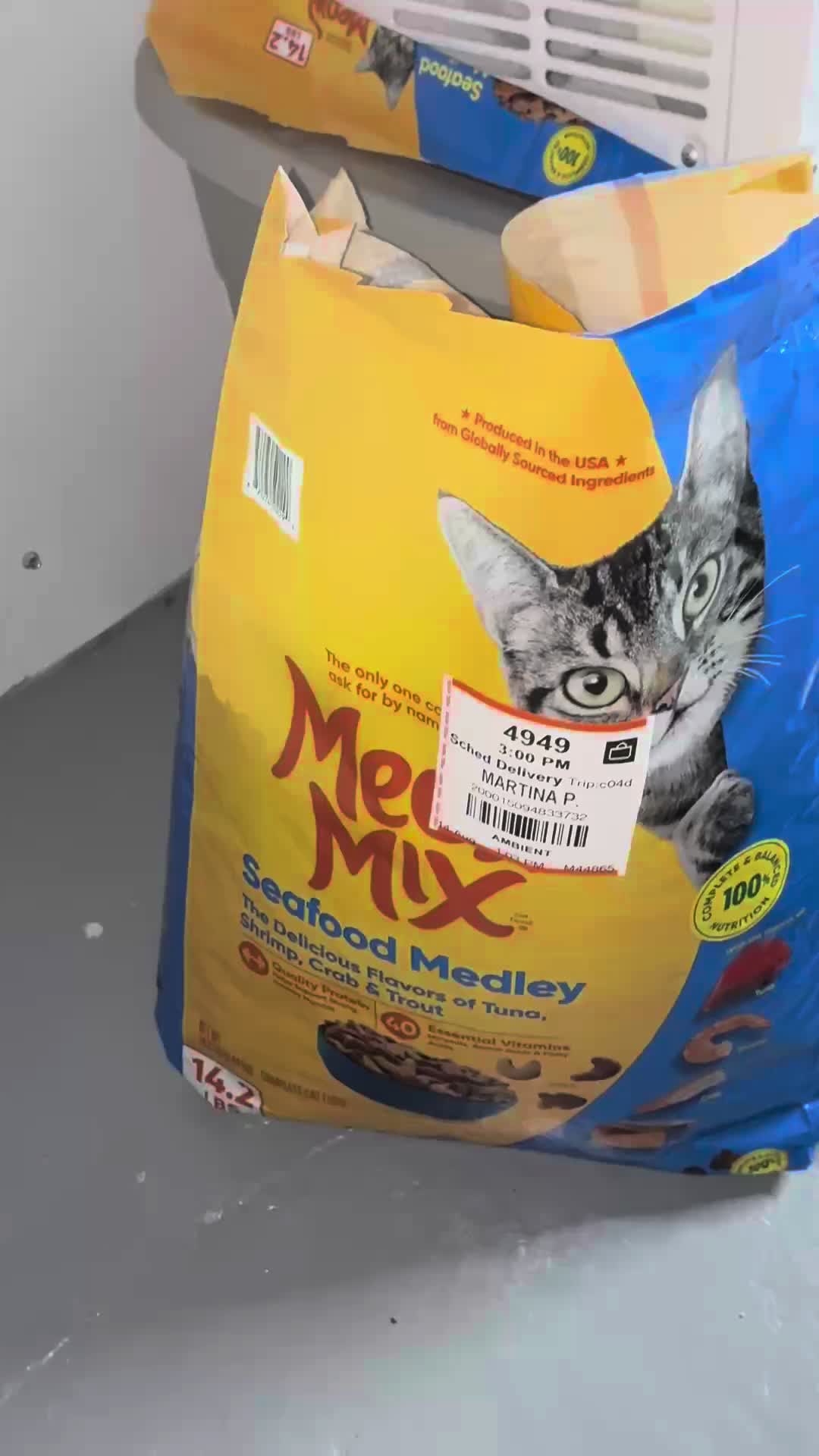 #CapCut #facelessugc #petcontent #notaponsored