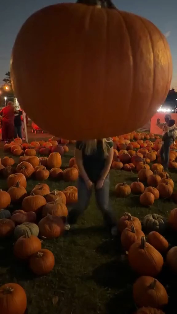 Fun tiktoks