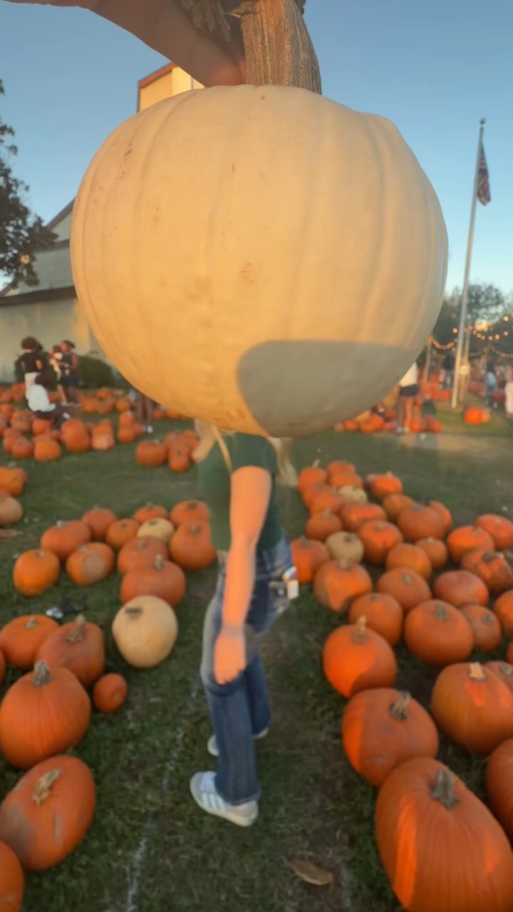 Pumpkin patch Ideas