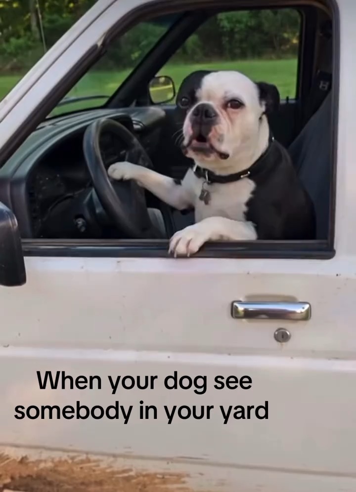 Ai video