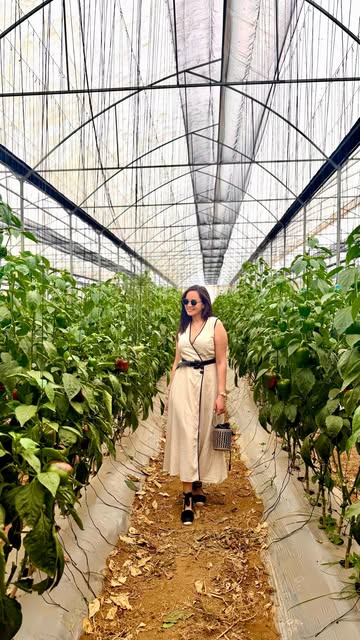 Te imaginas vivir una experiencia de lujo inmersiva farm to table? 🍽️🫜 La Table @latable.rd lo hace realidad en su...