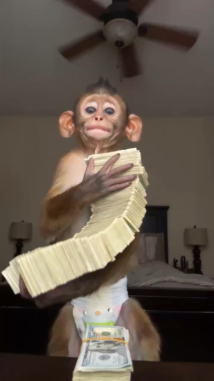 MONKY