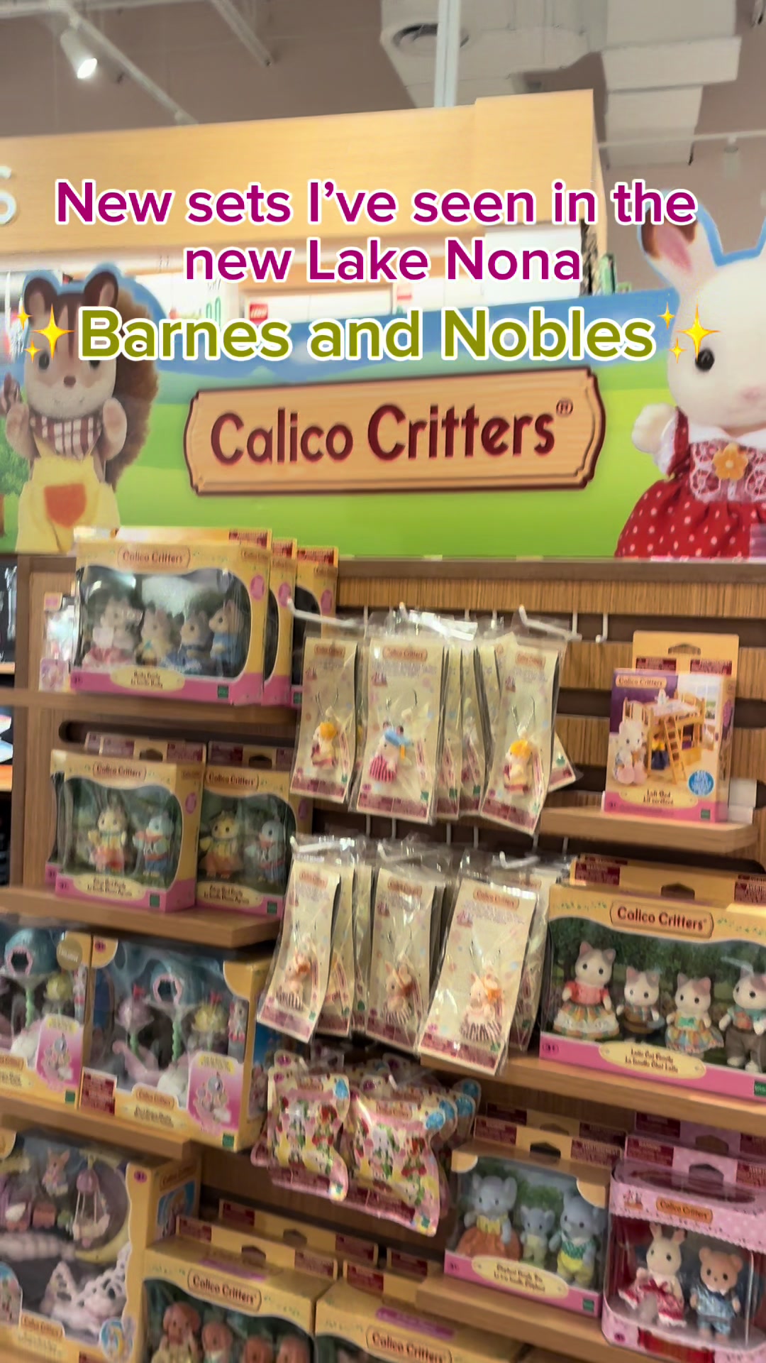 Florida has opened a new Barnes and nobles at Lake Nona! A new variety of calico critters are here to stay. #lakenona...